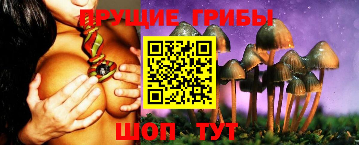 Моздок  закладки  Вход с VPN  Галлюциногенные грибы ЛСД  Галлюциногенные грибы Psilocybine cubensis 