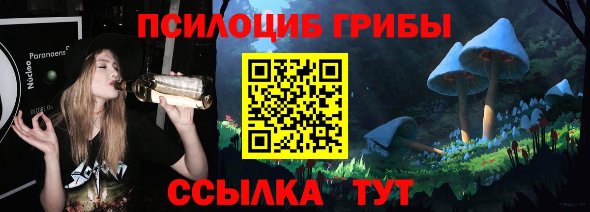 Галлюциногенные грибы GOLDEN TEACHER Моздок